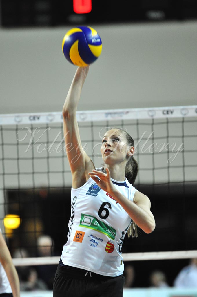 Asystel NO Muszynianka (78)